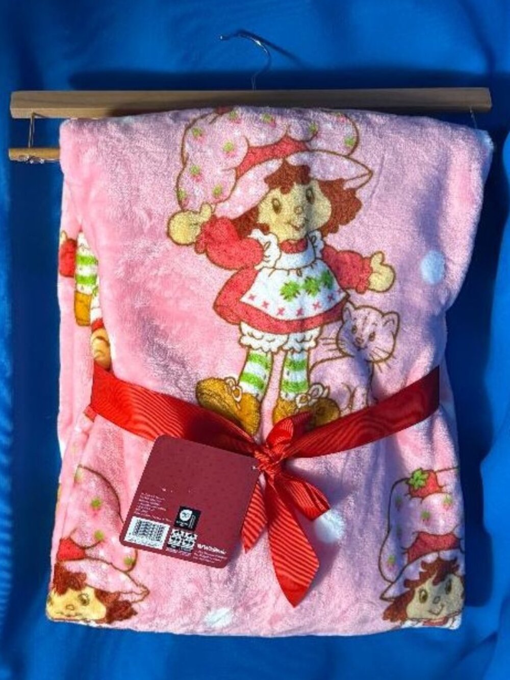 NEW BEAUTIFUL STRAWBERRY SHORTCAKE & KITTY CUSTARD 60" X 70" PLUSH THROW BLANKET - Picture 10 of 13